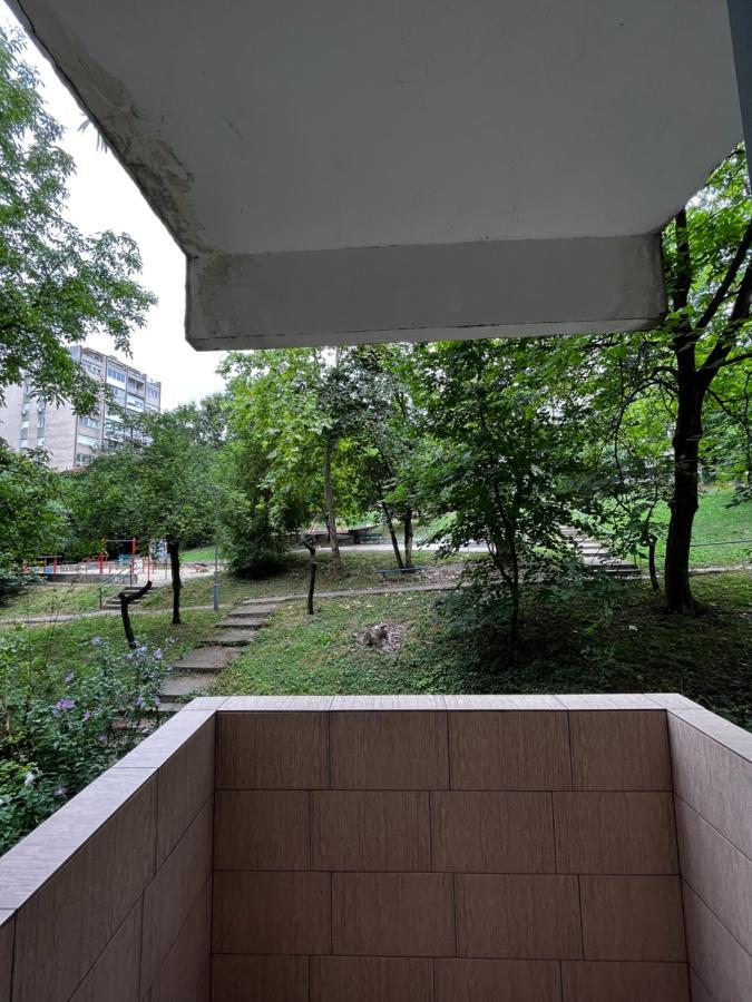 Apartman Sasha 2 بلغراد المظهر الخارجي الصورة