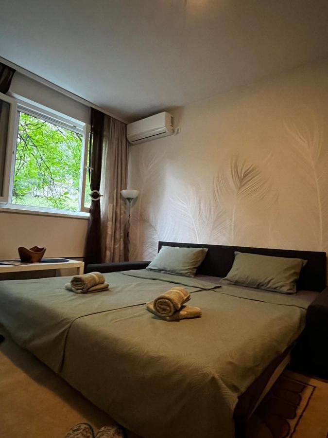 Apartman Sasha 2 بلغراد المظهر الخارجي الصورة
