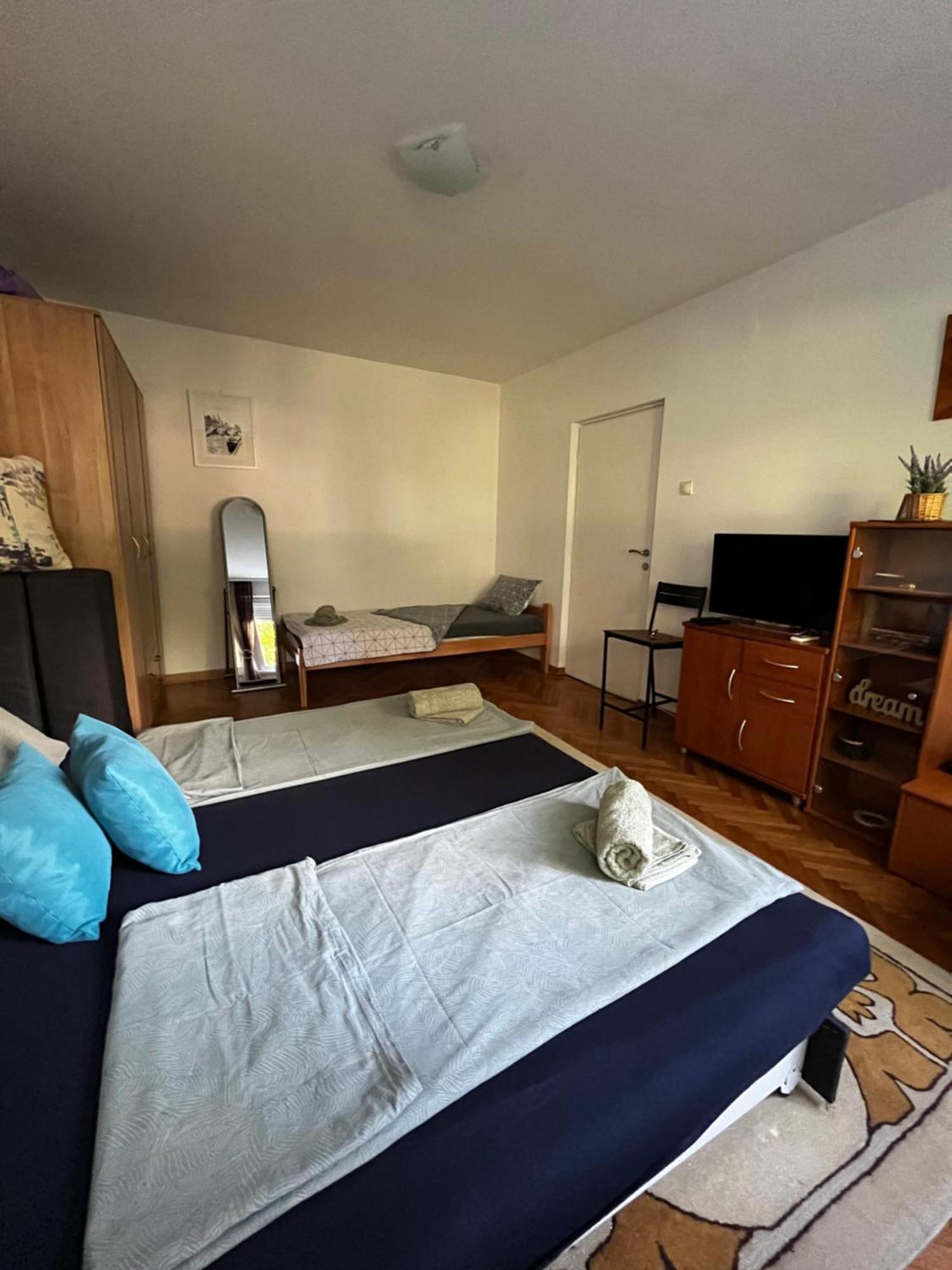 Apartman Sasha 2 بلغراد المظهر الخارجي الصورة